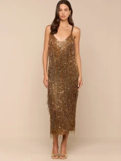 Noella Sequin Fringe Dress