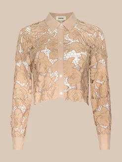 Seychelle Cropped Eyelet Blouse